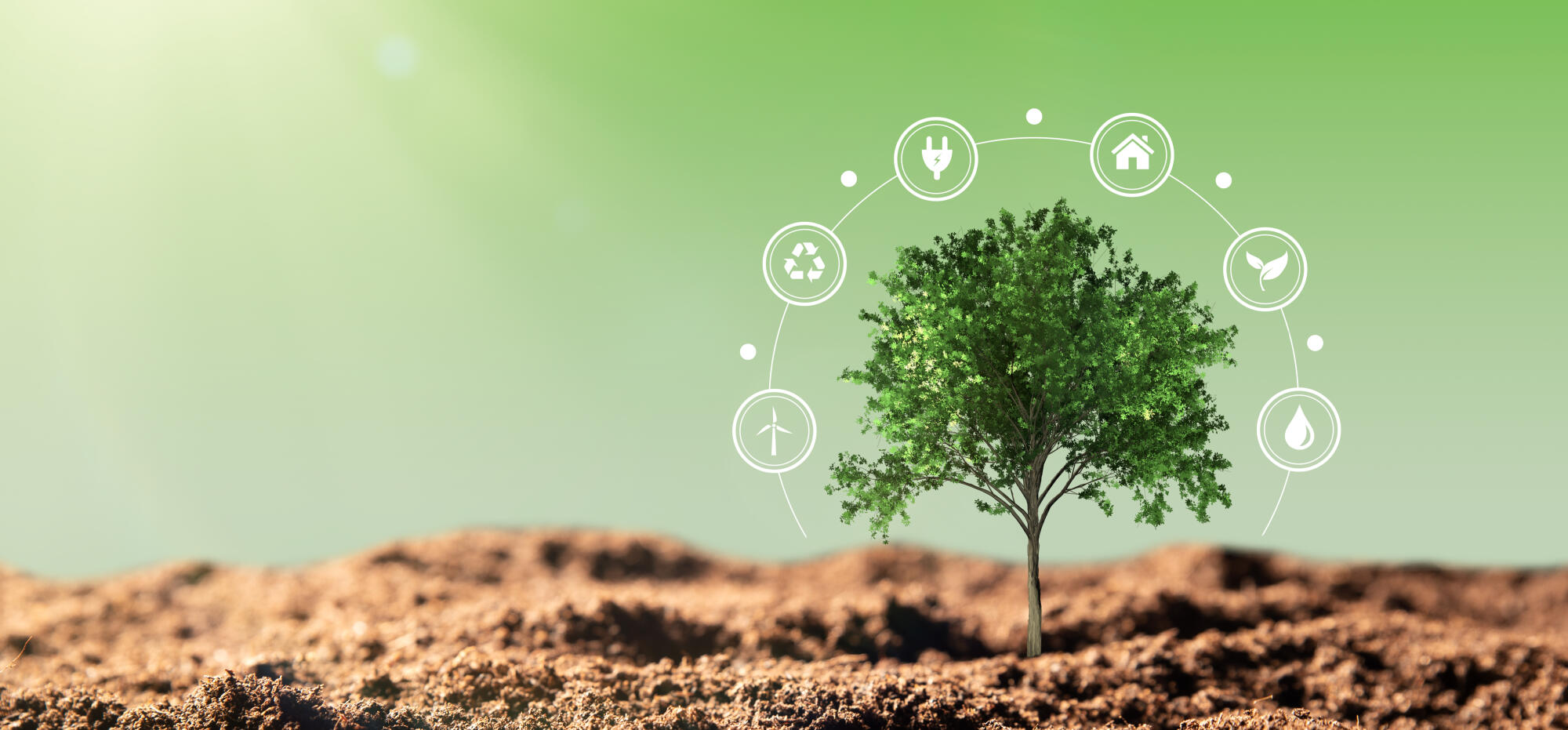 Sustainability AdobeStock_480815854.jpeg